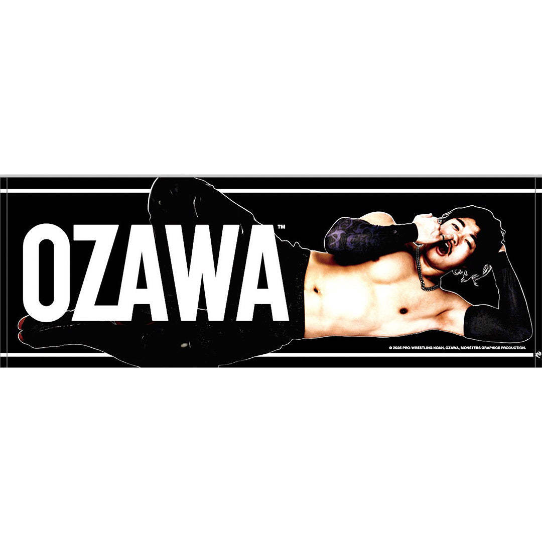 OZAWA寝そべりスポーツタオル
