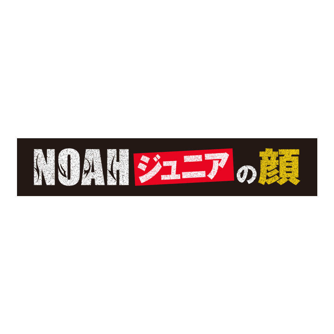 【 超希少 HAKUEIMAN タオル 】その他CD、会報、サイン多数グッズ！！ 選手メッセージタオル