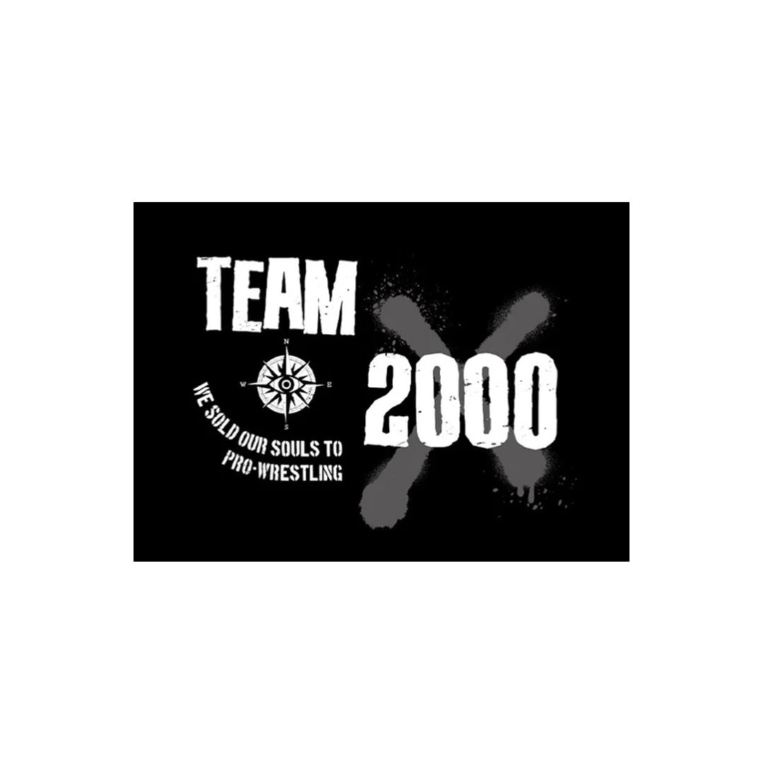 TEAM2000Xロゴステッカー