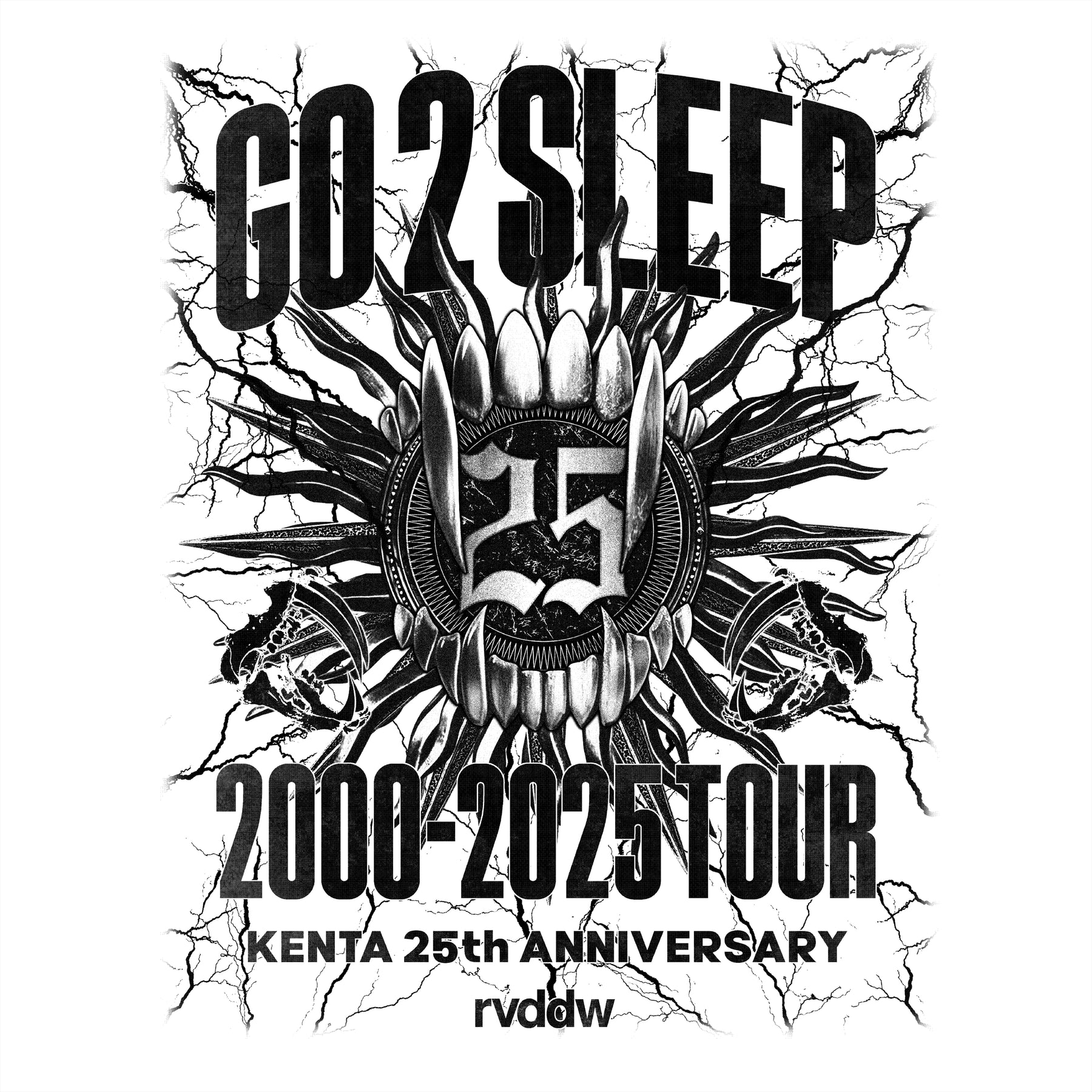 GO 2 SLEEP 2000-2025 TOUR TEE