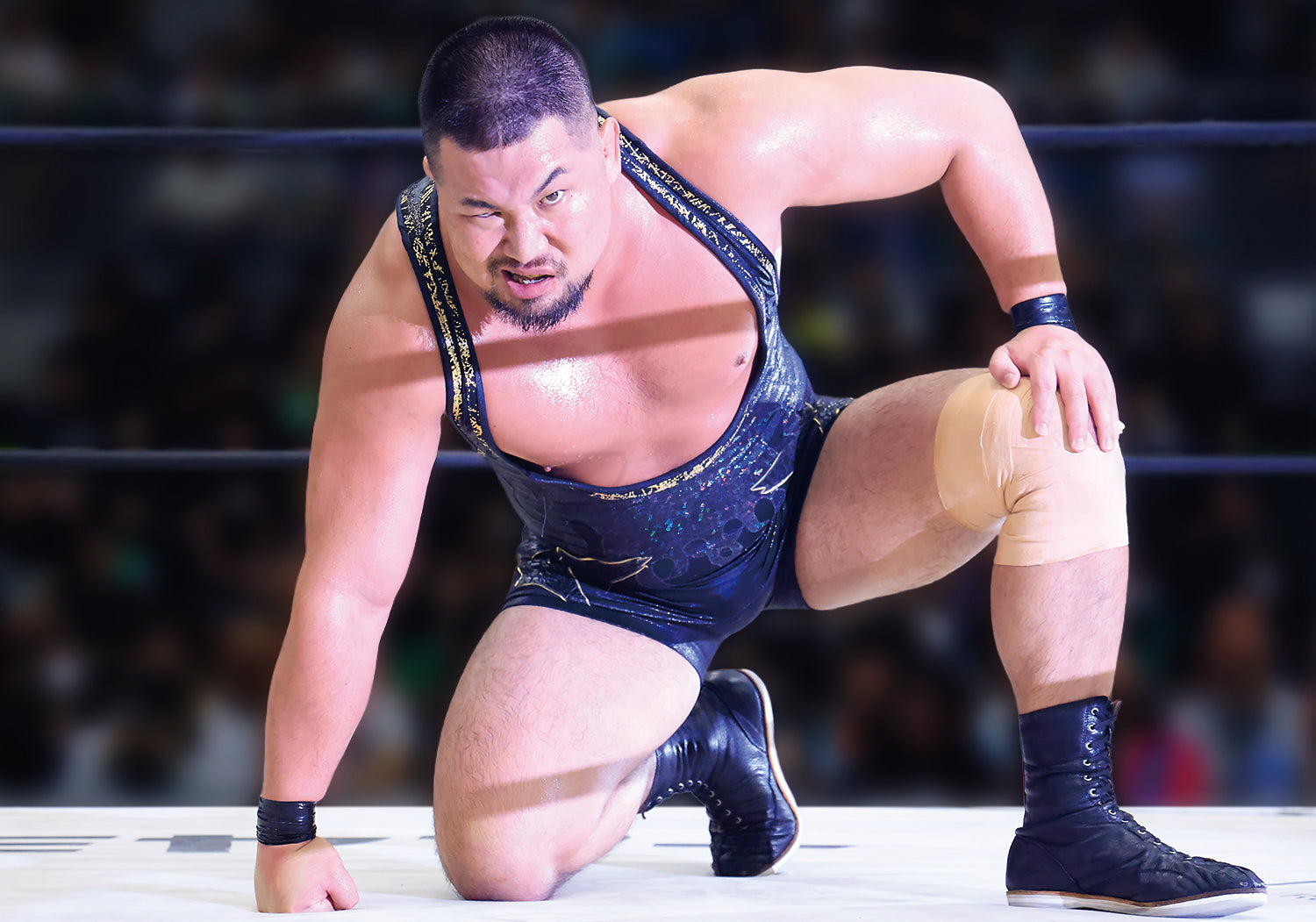 【選べる全40選手】HAKOBUNEブロマイド