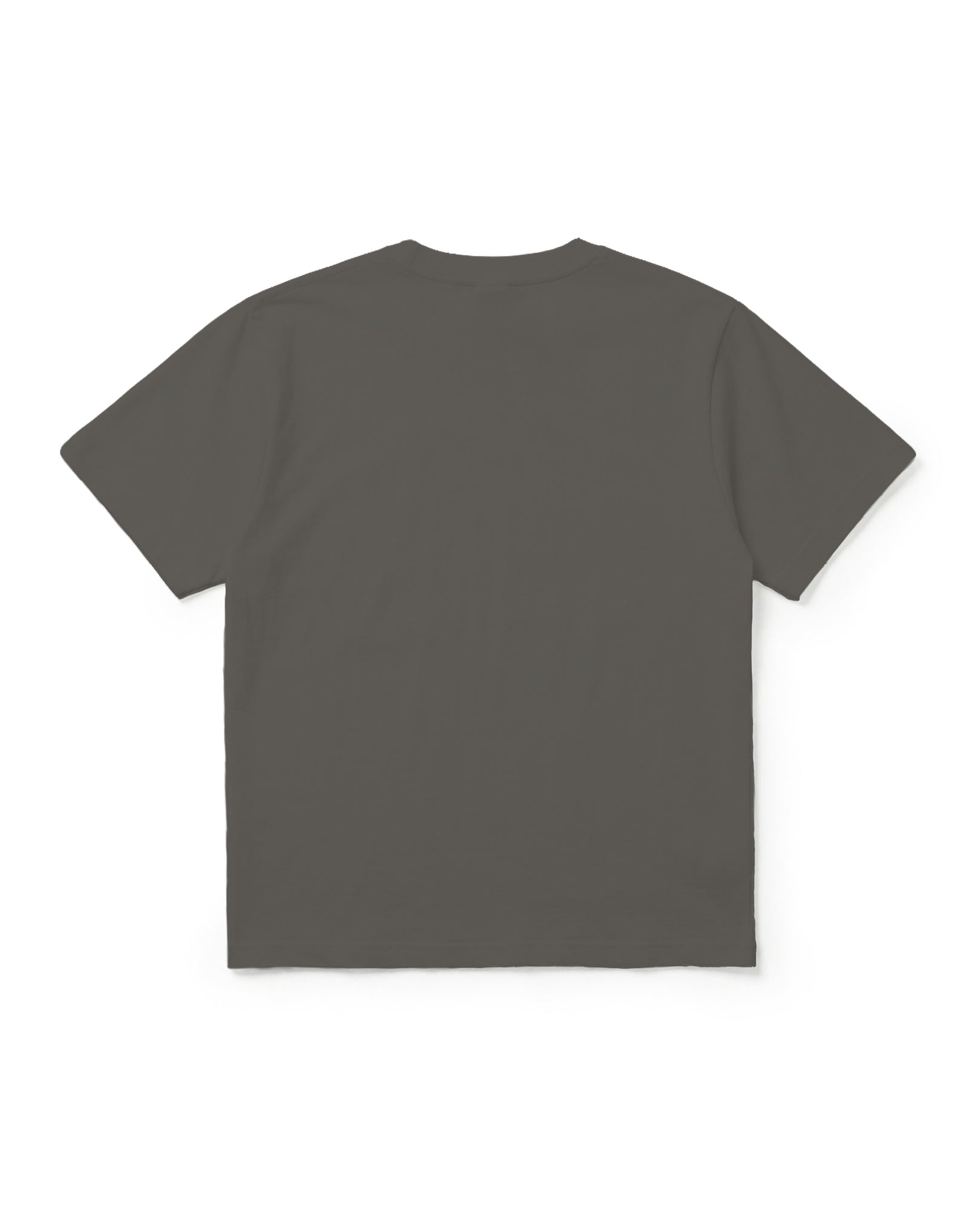 情熱MAX 情熱イラスト Tシャツ