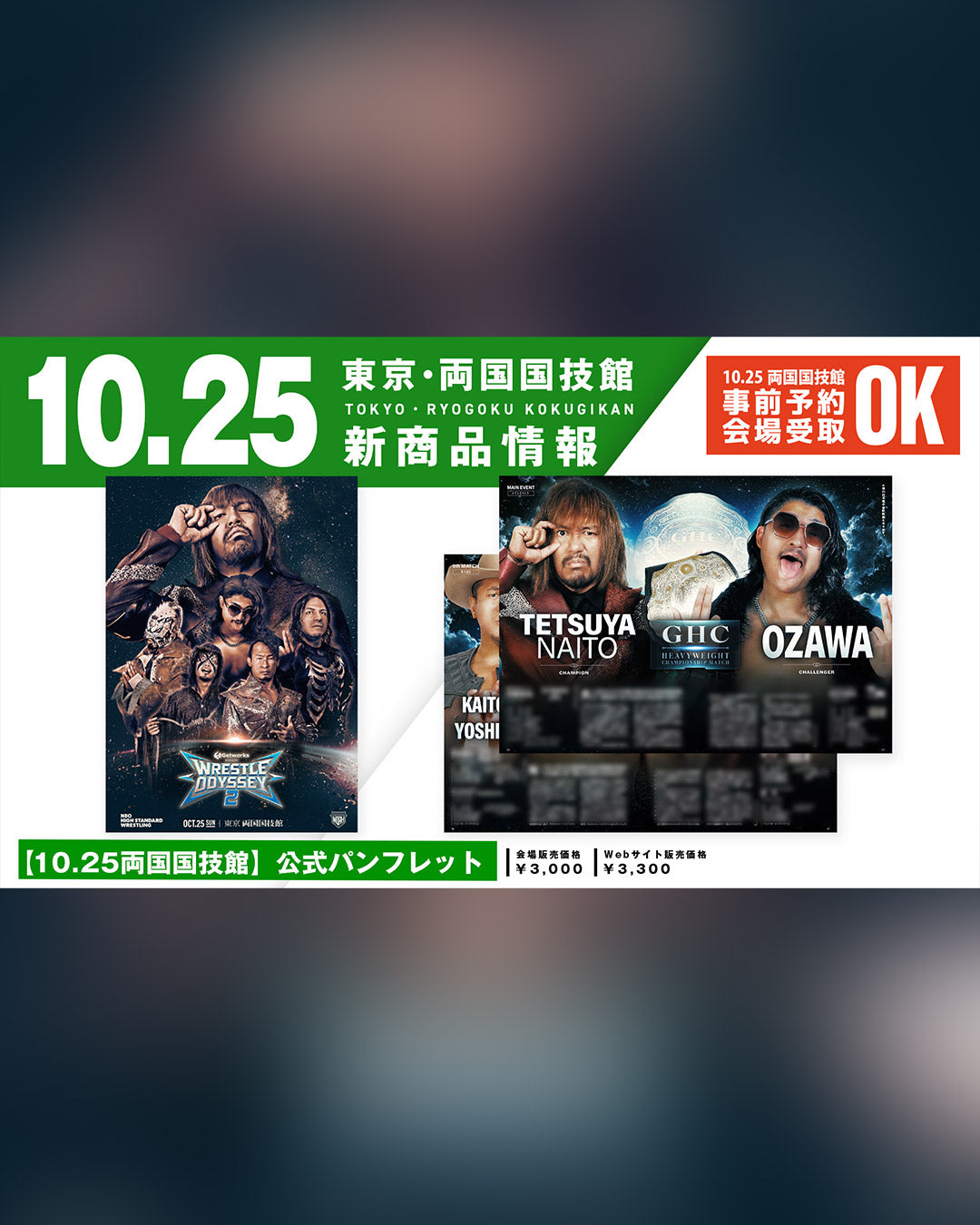 ⑰【10.25会場受け取り限定】公式パンフレット＜Getworks Presents WRESTLE ODYSSEY Ⅱ＞