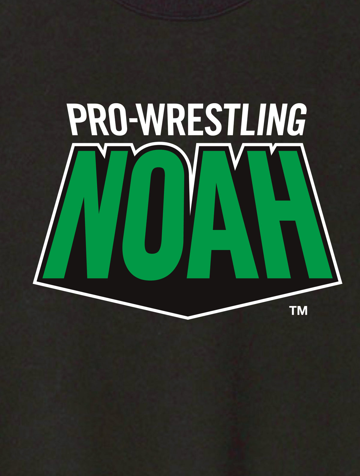 NOAH立体ロゴ トレーナー（MONSTERS GRAPHICS）