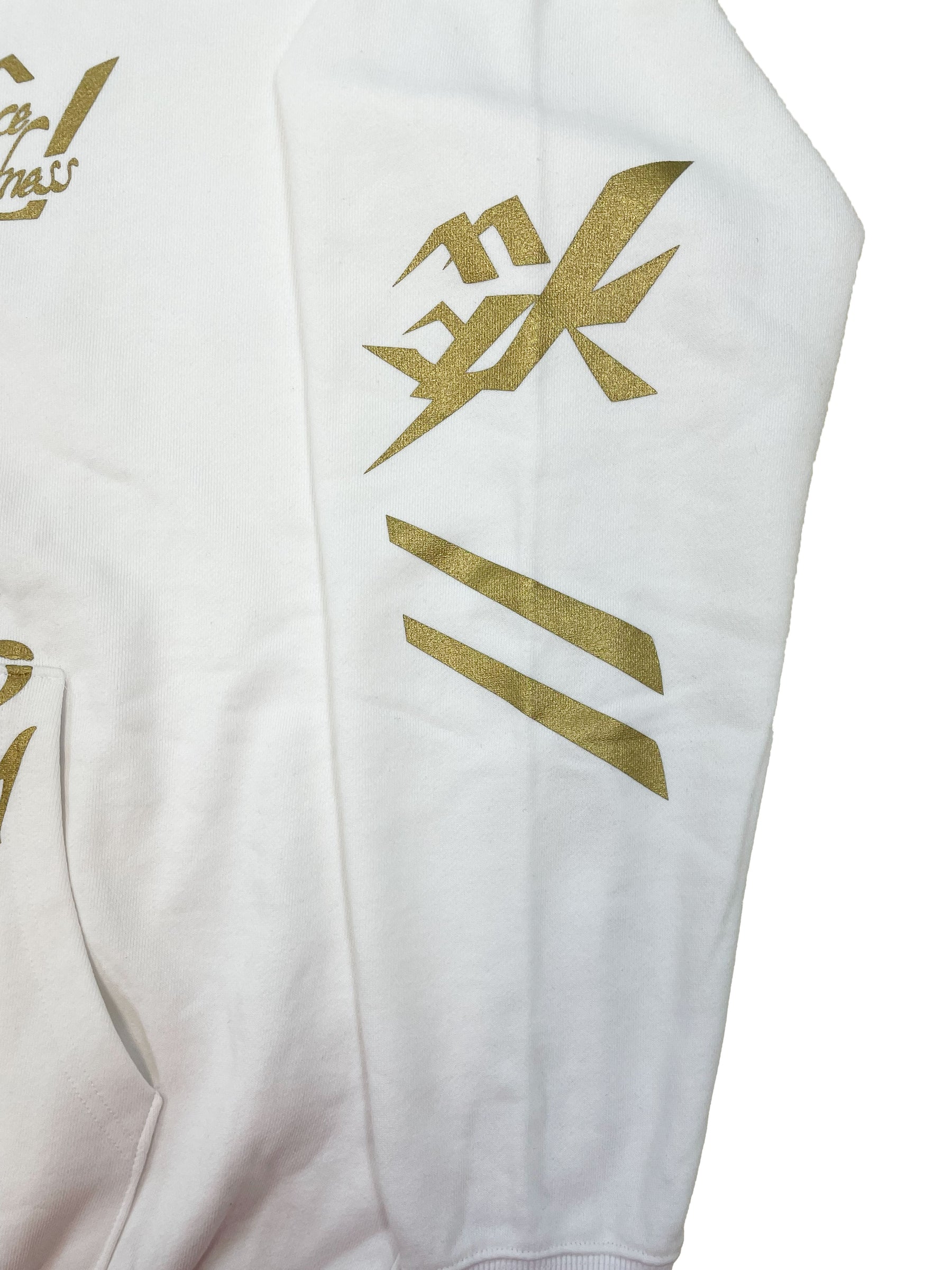 【受注商品】パーカーフェア2025  清宮海斗「The Prince of Madness」パーカー