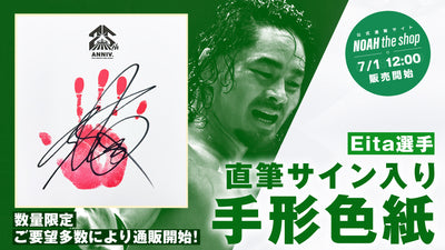 数量限定】選手直筆サイン入り手形色紙