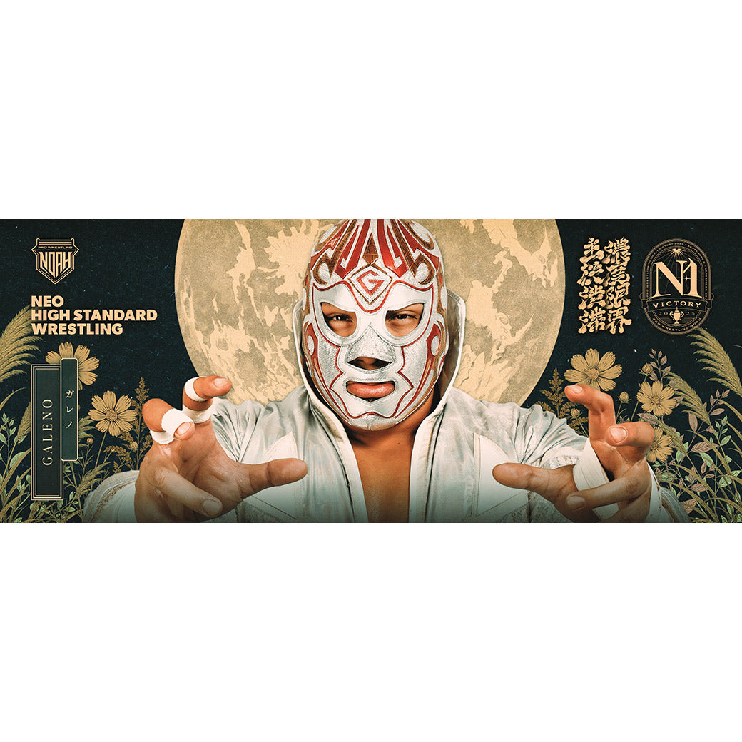 【Bブロック】N-1 VICTORY 2025 応援タオル