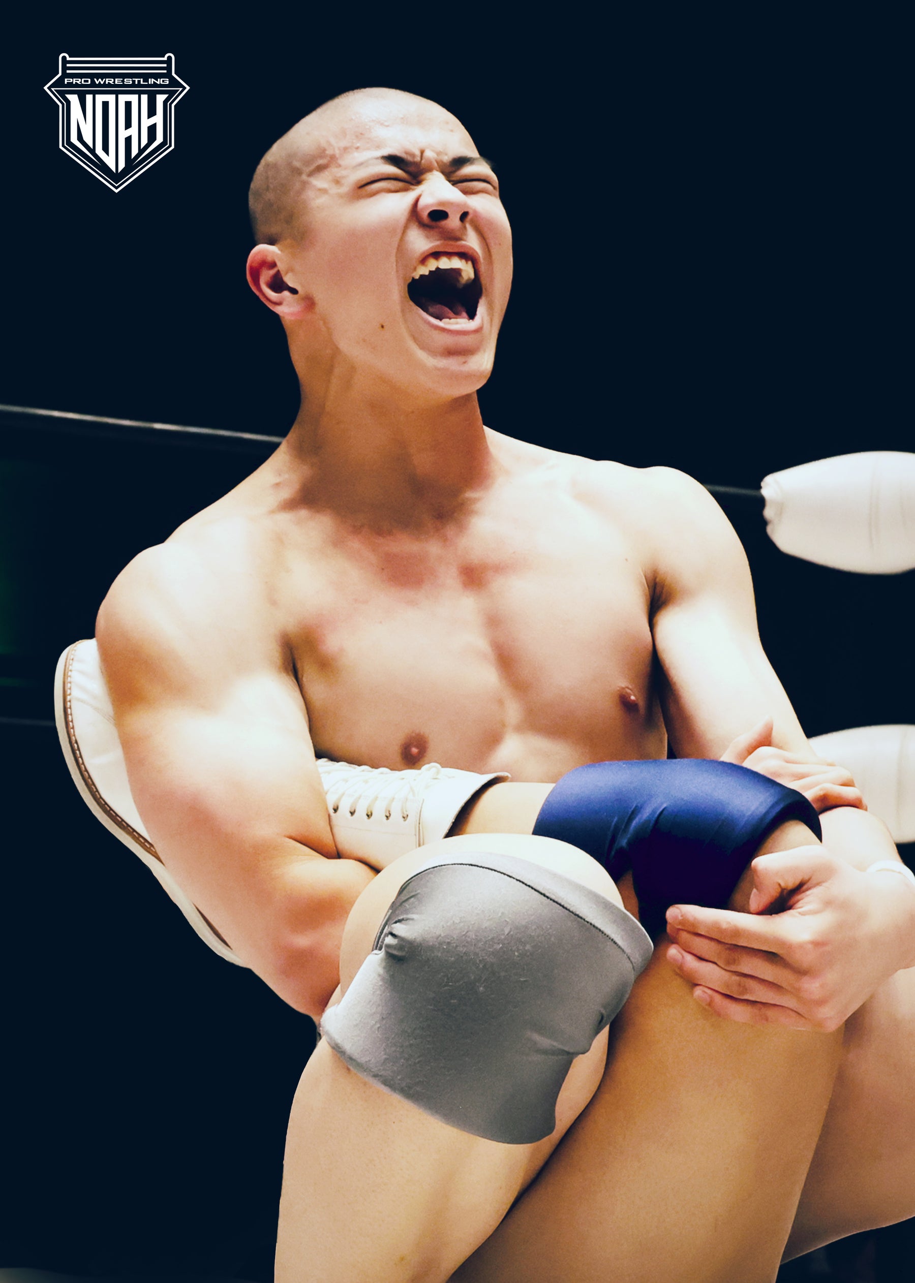 小柳勇斗/鶴屋浩斗/髙橋碧 デビュー記念ポートレート